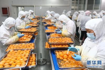 安徽淮北:延伸果蔬加工产业链 出口罐头生产忙