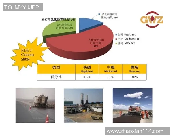 武汉排球队快攻战术解析与实战应用探讨